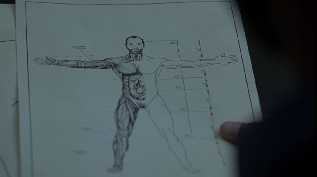 No sétimo episódio, Bernard e Theresa encontram o desenho de Bernard, logo antes de Ford confirmar que ele não é humano